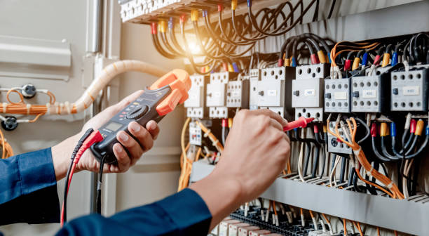Best Electric Panel Repair  in Erath, LA